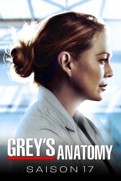 Grey’s Anatomy Saison 17