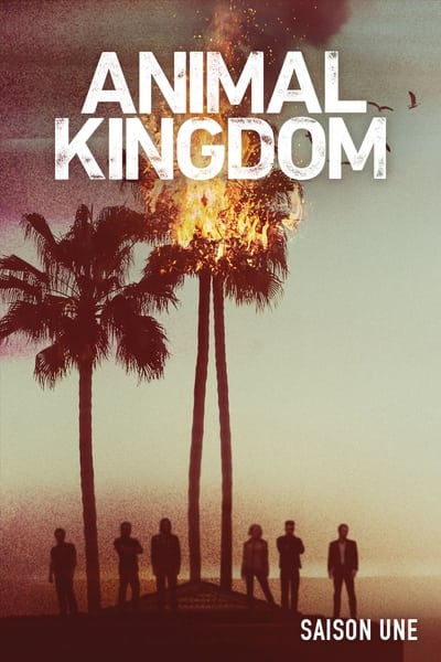 Animal Kingdom Saison 1