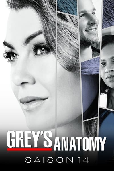 Grey’s Anatomy Saison 14