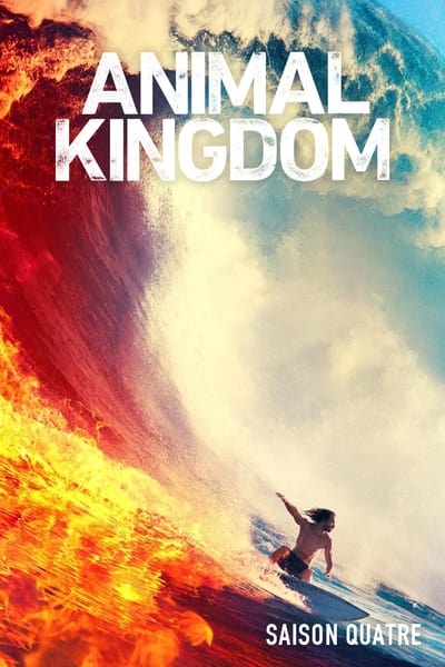 Animal Kingdom Saison 4