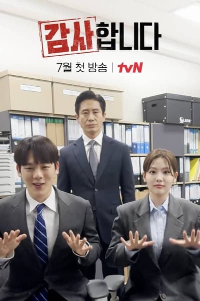 The Auditors Saison 1