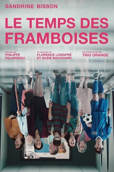 Le Temps Des Framboises Saison 1