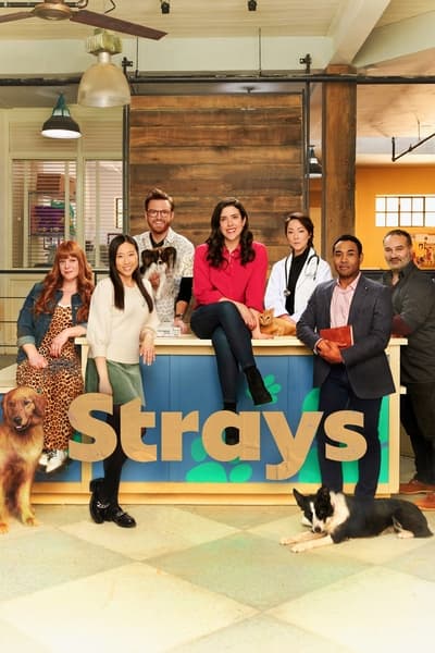 Strays Saison 1