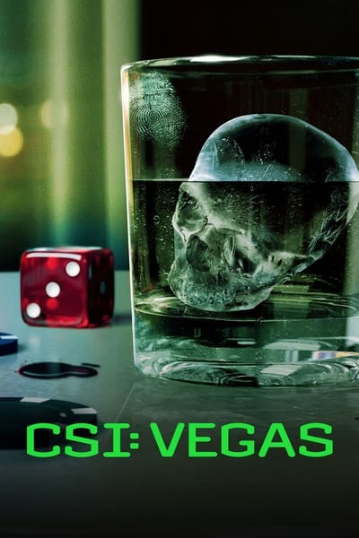 CSI: Vegas Saison 3