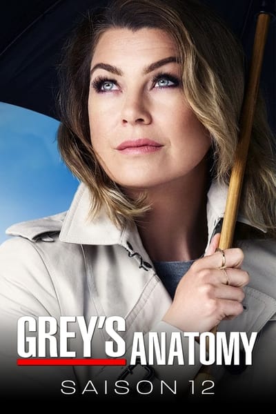 Grey’s Anatomy Saison 12