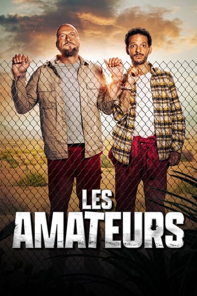 Les Amateurs Saison 2