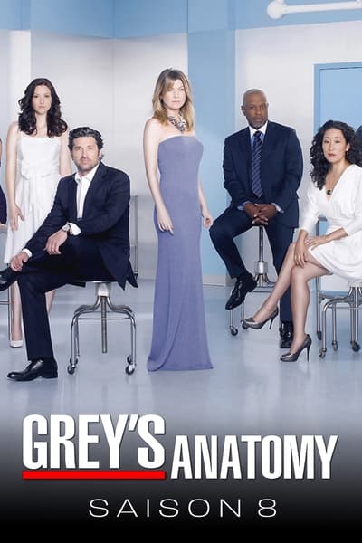 Grey’s Anatomy Saison 8