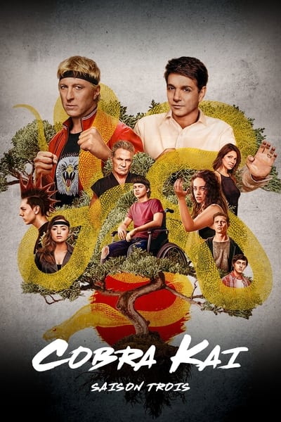 Cobra Kai Saison 3