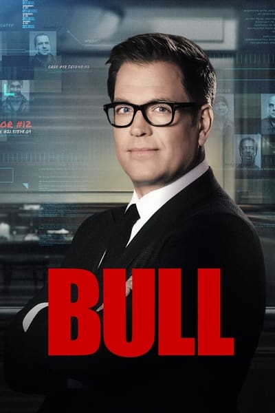 Bull Saison 6