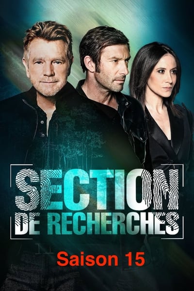 Section de Recherches Saison 15